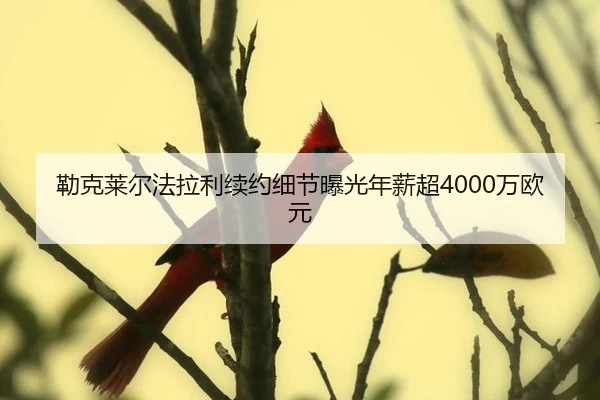 勒克莱尔法拉利续约细节曝光年薪超4000万欧元