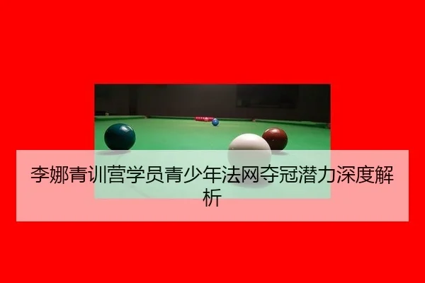 li-na-qing-xun-ying-xue-yuan-qing-shao-nian-fa-wang-duo-guan-qian-li-shen-du-jie-xi-2-982.jpg